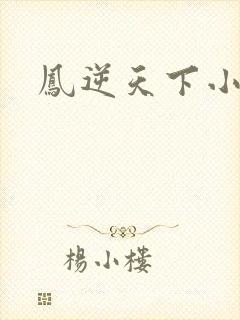 凤逆天下小说