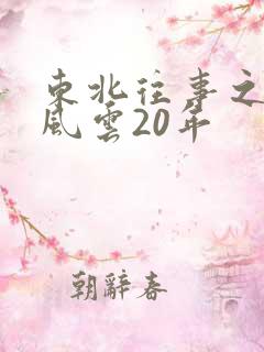 东北往事之黑道风云20年