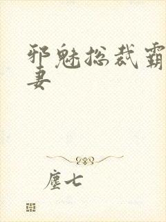 邪魅总裁霸占新妻