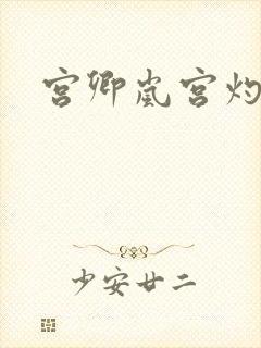宫卿岚宫灼小说
