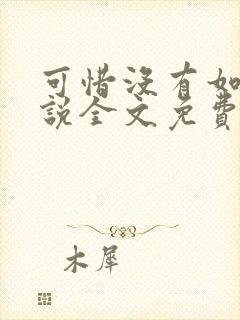 可惜没有如果小说全文免费阅读