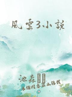 风云3小说