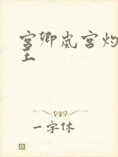 宫卿岚宫灼摄政王