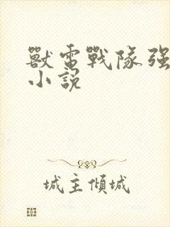 兽电战队强龙者小说