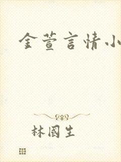 金萱言情小说