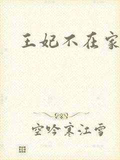 王妃不在家