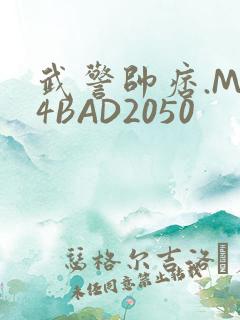 武警帅痞.MP4BAD2050