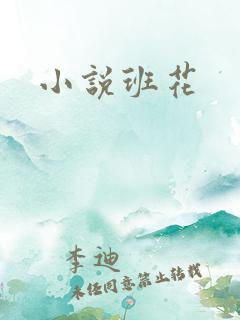 小说班花