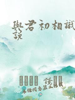 与君初相识 小说