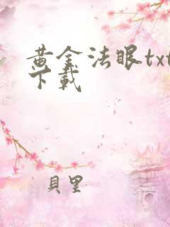 黄金法眼txt下载