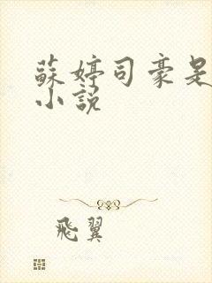 苏婷司豪是什么小说