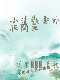 小清欢番外完整版开车