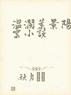 温澜叶景阳温云云小说