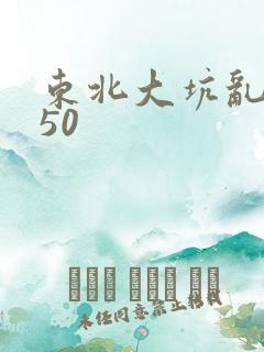 东北大坑乱1—50
