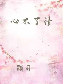 心不了情