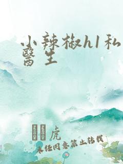 小辣椒h1私人医生