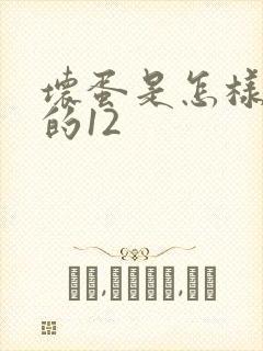 坏蛋是怎样炼成的12