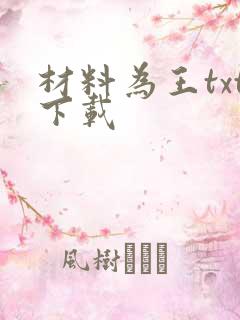 材料为王txt下载