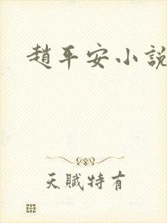 赵平安小说主角