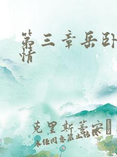 第三章岳卧室激情