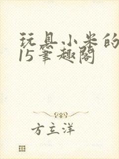玩具小米的1一15笔趣阁