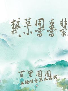 校草同桌非要撩我小当当家