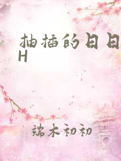 抽插的日日液液H