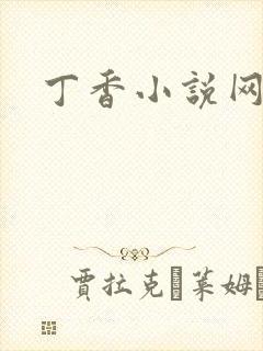 丁香小说网