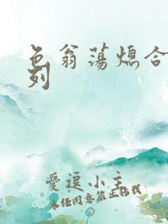 色翁荡熄合集系列