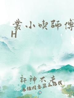 丛小吃师傅的HH