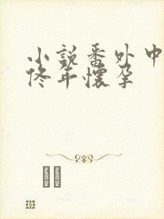 小说番外中结局佟年怀孕