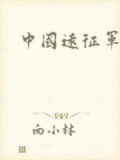 中国远征军下载