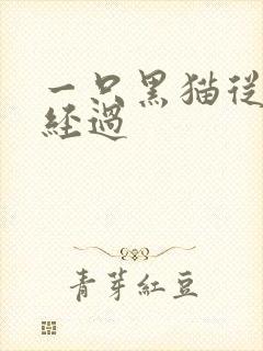 一只黑猫从眼前经过