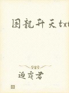 困龙升天txt