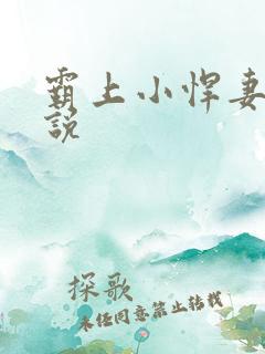 霸上小悍妻 小说