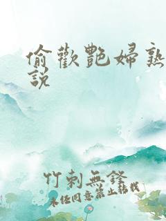 偷欢艳妇熟女小说