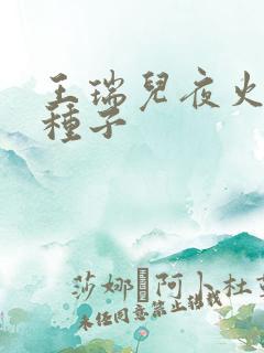 王瑞儿夜火全套种子