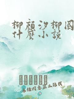 柳颜汐柳国安是什么小说