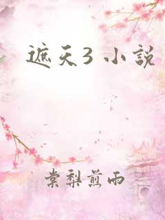 遮天3 小说