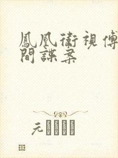 凤凰卫视傅晓田间谍案