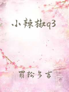 小辣椒q3