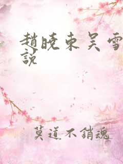 赵晓东吴雪晴小说