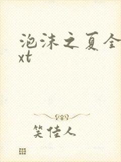 泡沫之夏全集txt