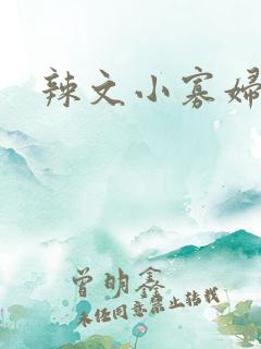 辣文小寡妇
