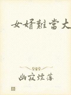 女婿难当大结局