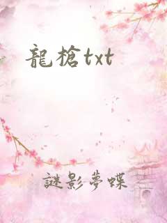 龙枪txt