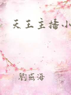 天王主播小说