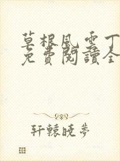 草根风云丁长生免费阅读全本