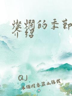 灿烂的季节剧情介绍