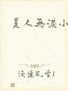 美人无泪小说